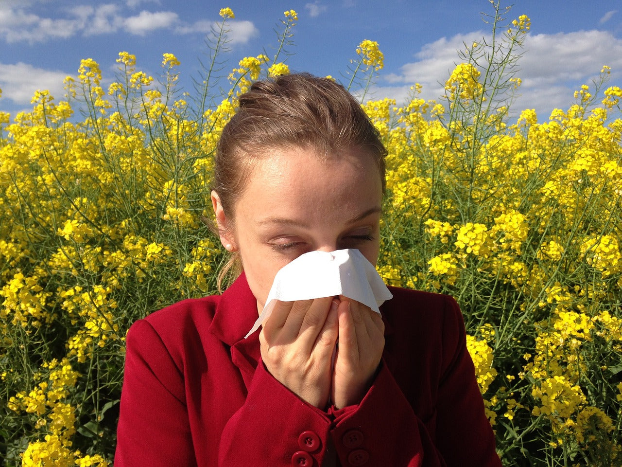 How To Stop Allergies - Naturally