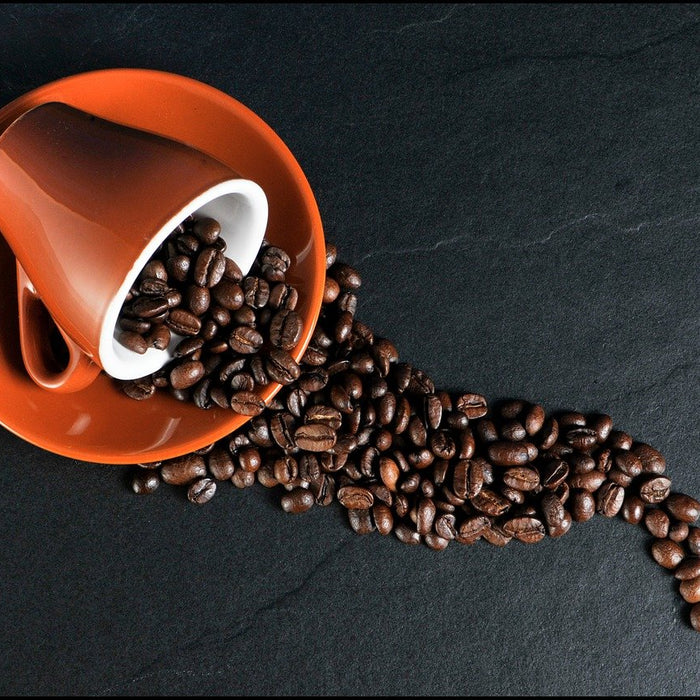 New Study Sheds Light on How Coffee Affects Your Liver