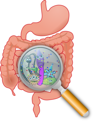 How Peptide Therapy Could Heal Gut Issues For Good