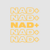 All about NAD+