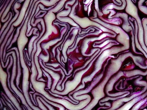 The Unbelievable Benefits of Red Cabbage