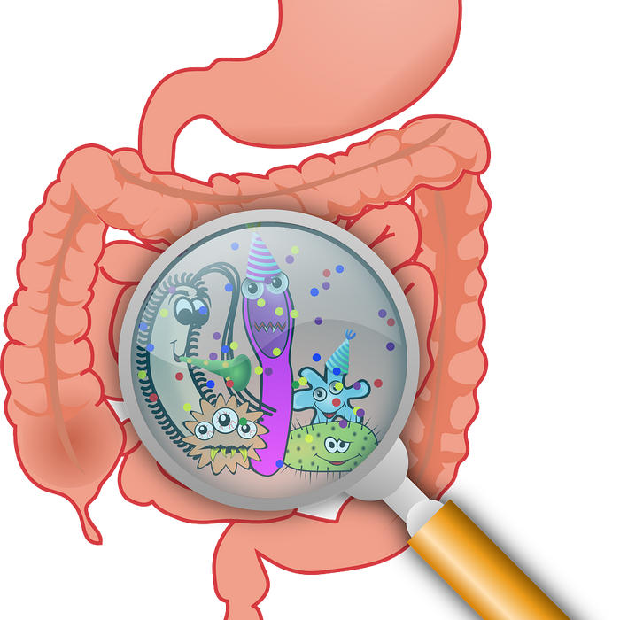 Why Probiotics Are Essential For Gut Health, But May Not Fix Gut Issues