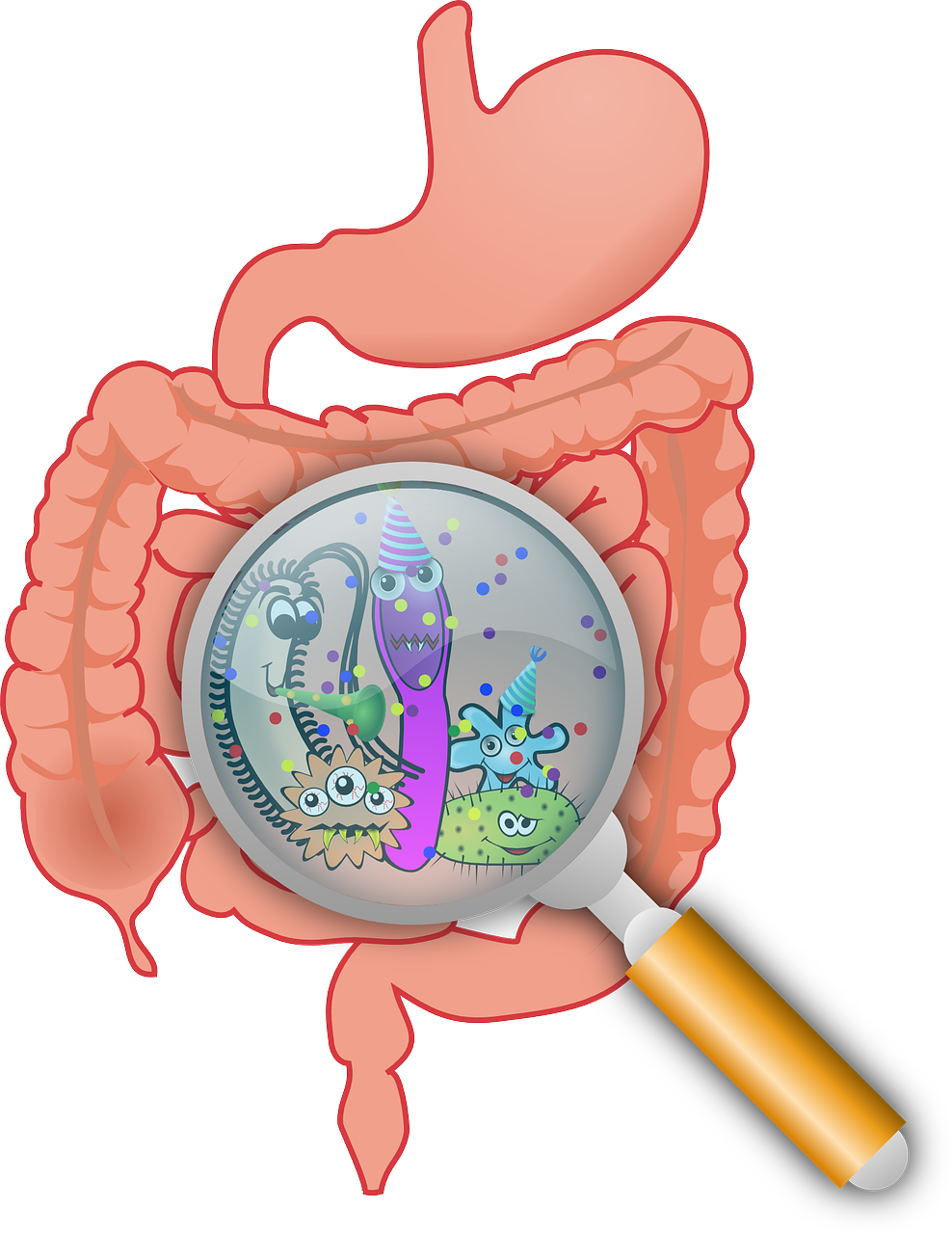 Why Probiotics Are Essential For Gut Health, But May Not Fix Gut Issues