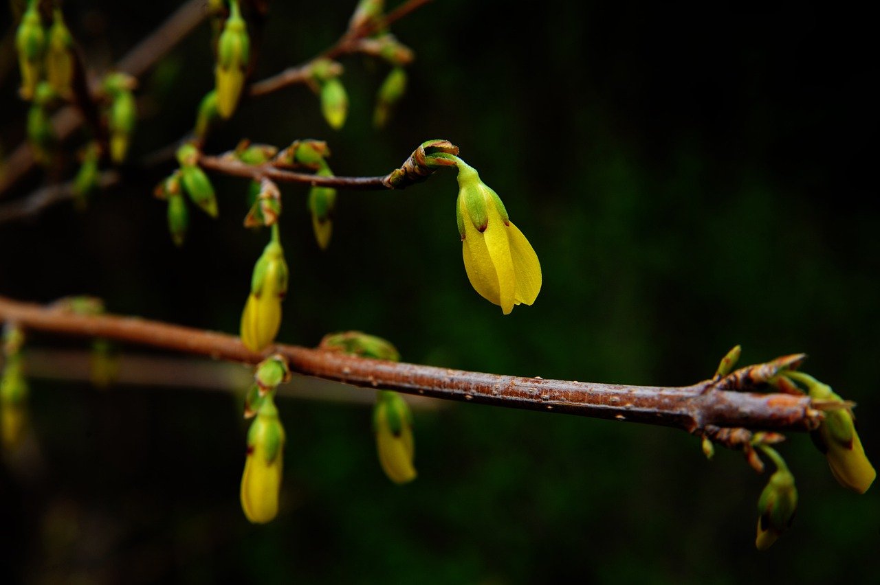 You Asked For It - Here It Is (Berberine)