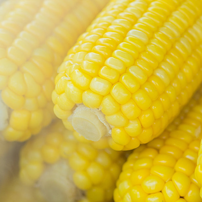 Surprising News about Corn
