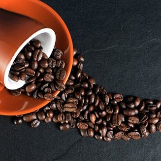 Harvard University Finds Coffee Is Proven to Help You Live Longer
