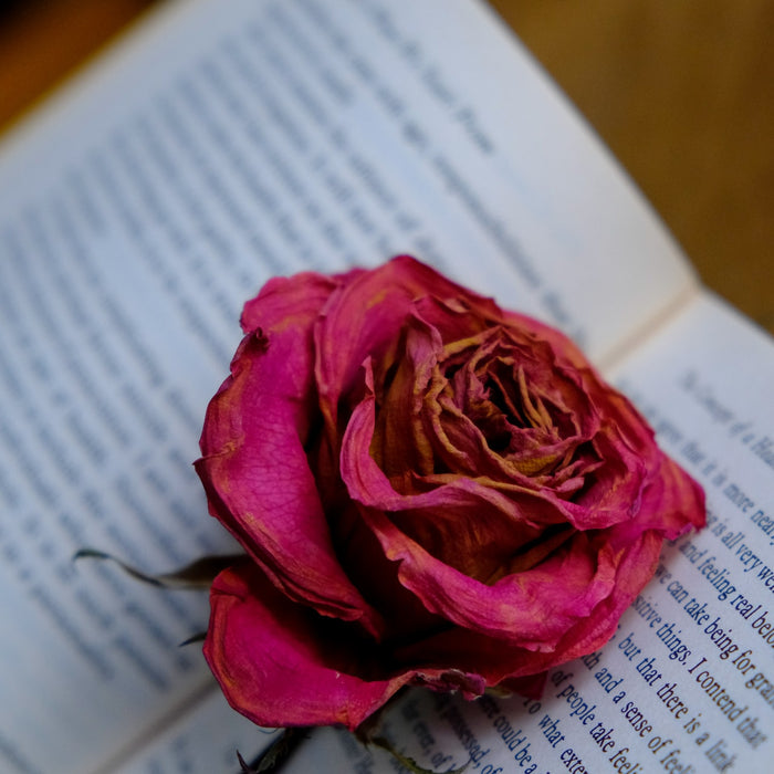 Discover Bibliotherapy’s Amazing Power to Change Your Life