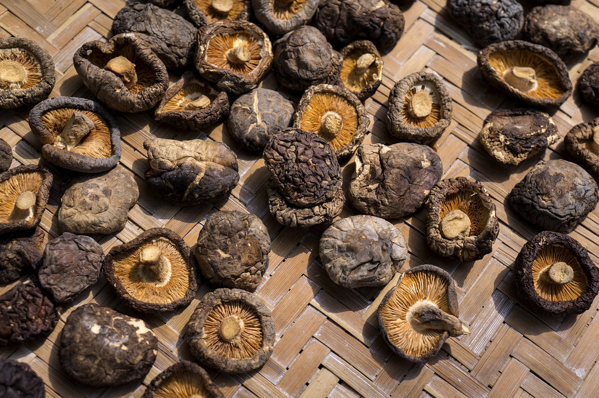 The Health Benefits Of 5 Common Mushrooms | RIH/HAIOTB Stores