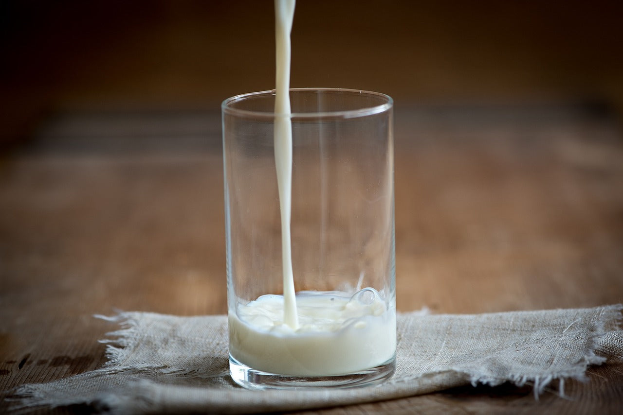 Milk Linked to Parkinson’s Disease?