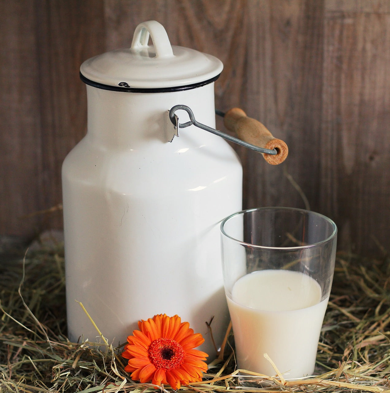 The War on Raw Milk