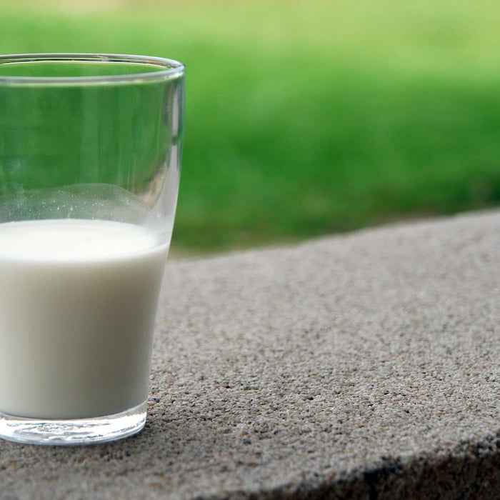 Why You Shouldn’t Give Up on Dairy Just Yet