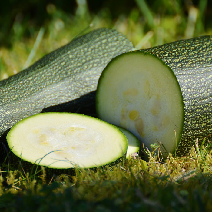 7 Amazing Health Facts about Zucchinis