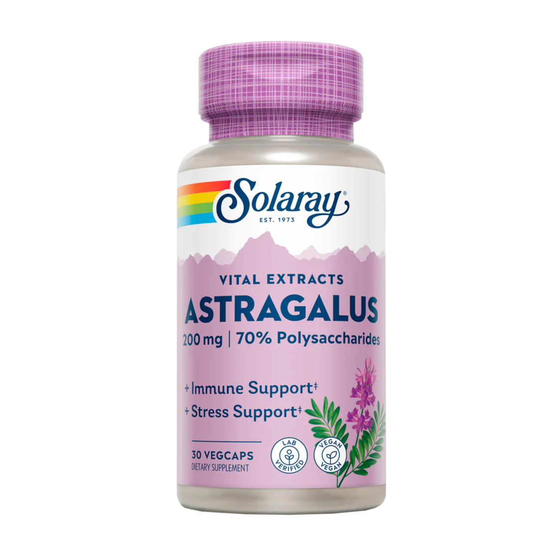 Solaray Astragalus Root Extract 200 mg - 30 Veg Caps | RIH/HAIOTB Stores